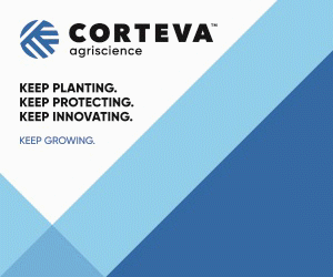 Banner Corteva 2020