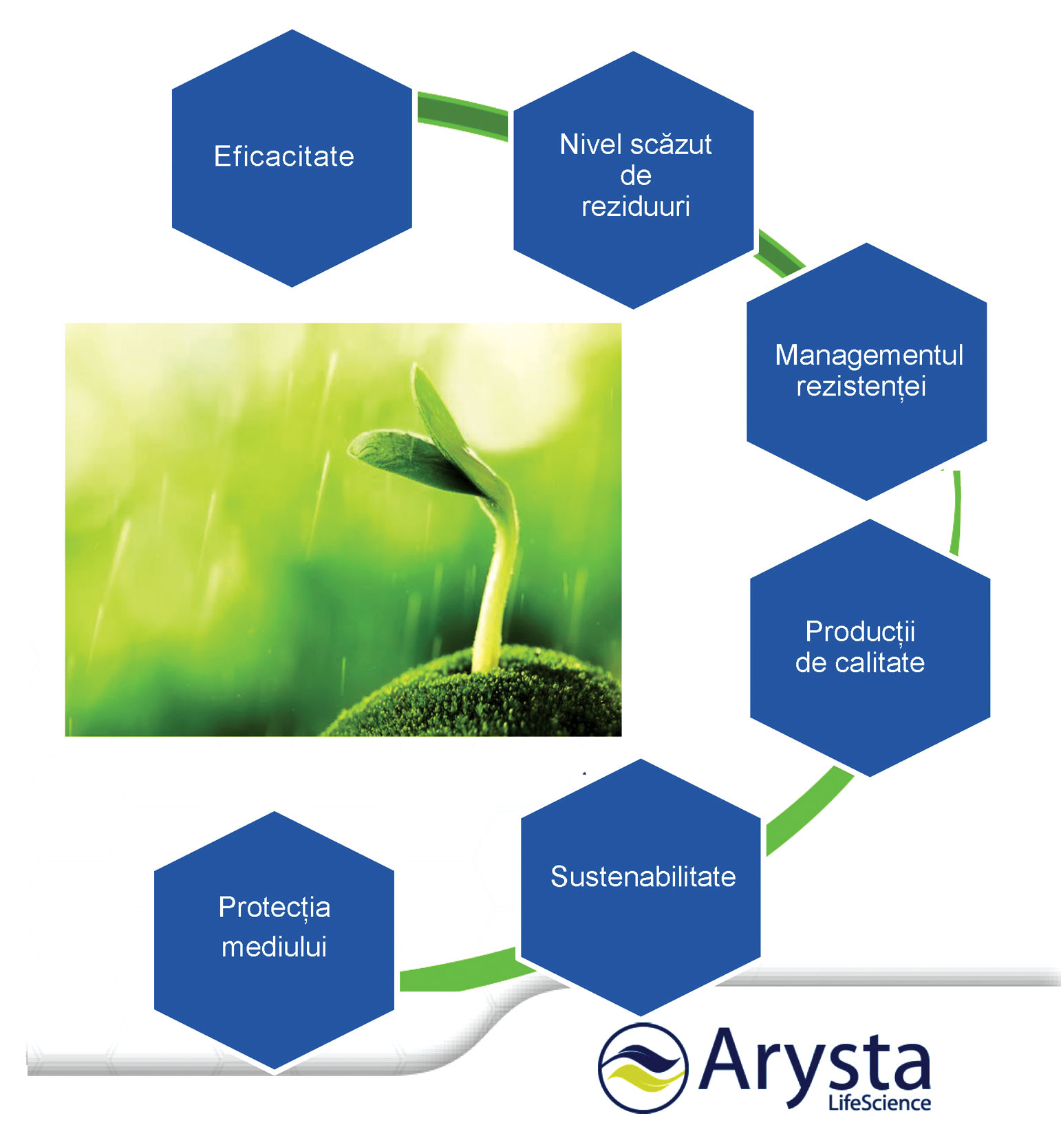 Arysta