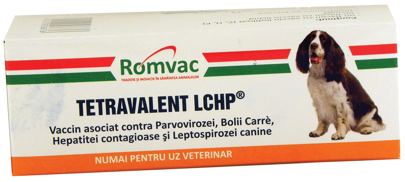 Tetravalent LCHP Romvac