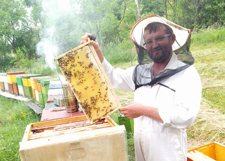 Mihai Grama apicultor