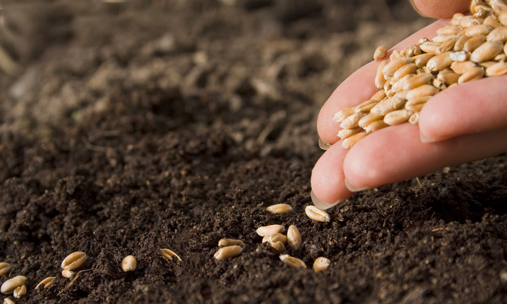 Cutremur în piață