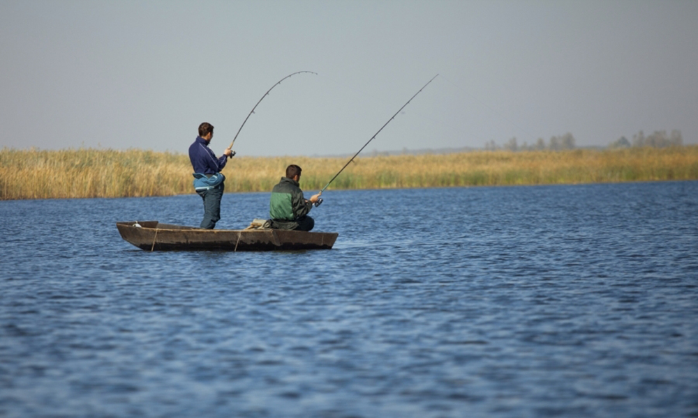 Veste bună pentru pescari și acvacultori: se prelungesc termenele pentru trei apeluri de finanțare