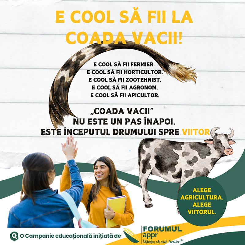 „E cool să fii la coada vacii!” 