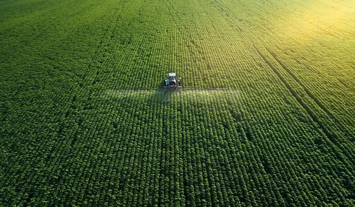 Clubul Fermierilor Români solicită măsuri urgente pentru protejarea agriculturii în contextul crizei îngrășămintelor
