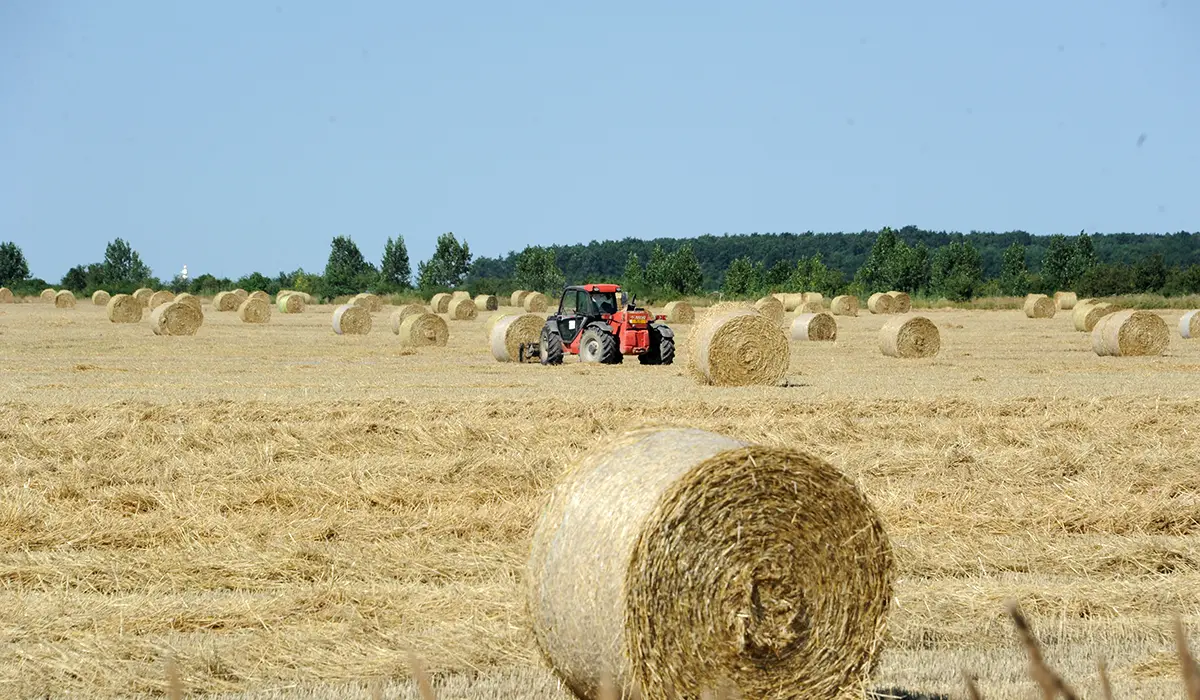 Clubul Fermierilor Români avertizează asupra reducerii bugetului PAC post-2027 și solicită menținerea sprijinului pentru agricultura românească
