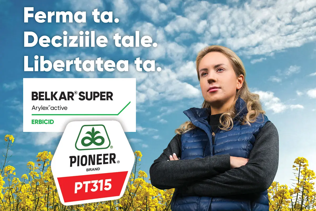Hibridul PT315, Belkar Super și Keylate B - trio-ul de succes pentru performanță în cultura de rapiță