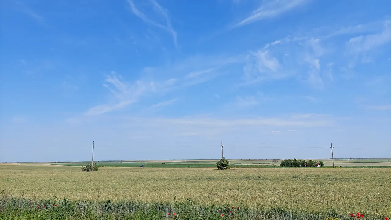 APIA - renta viageră agricolă