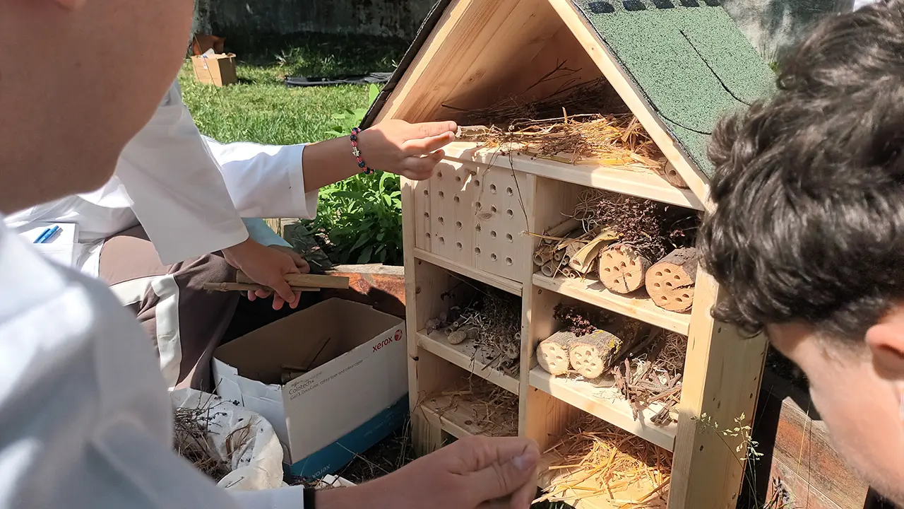 hoteluri de insecte construite de elevi vedere din fata