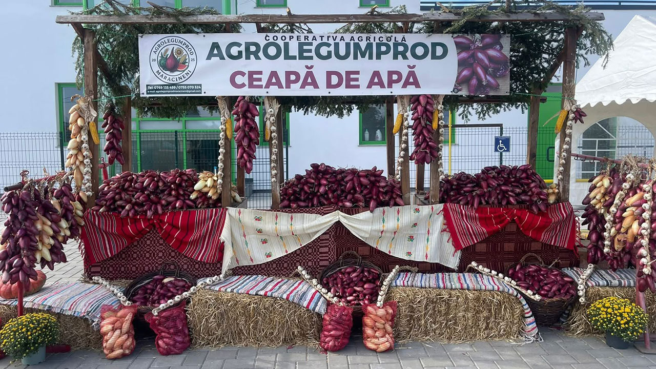 Cooperativa Agricola Agrolegumprod - ceapa de apa