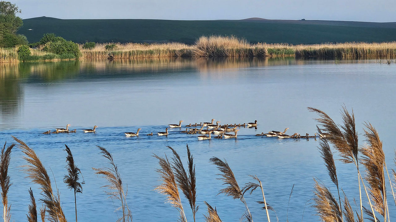 Delta Moldovei Larga Jijia Iasi