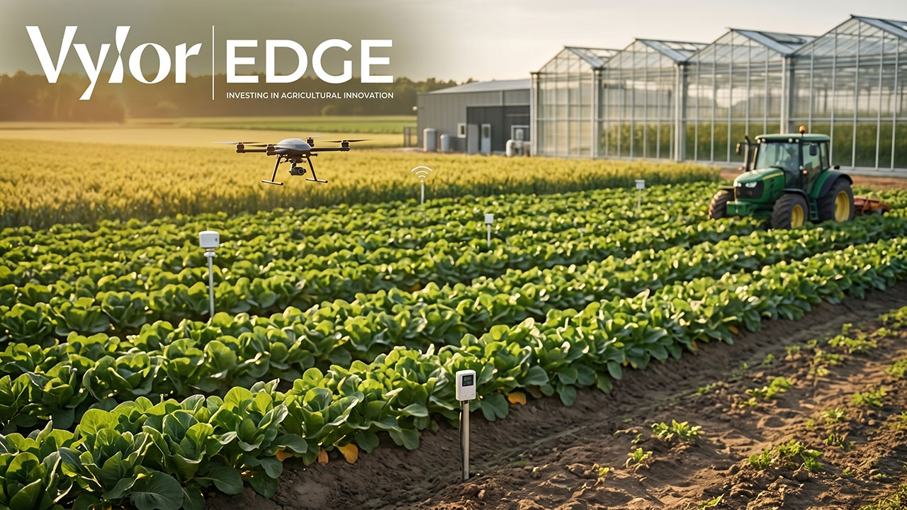 Vylor lansează Vylor Edge, noua platformă de investiții pentru inovația agricolă globală