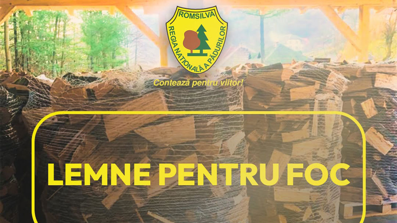 Romsilva va pune la dispoziție 2 milioane de metri cubi de lemn de foc în 2026. Cât costă