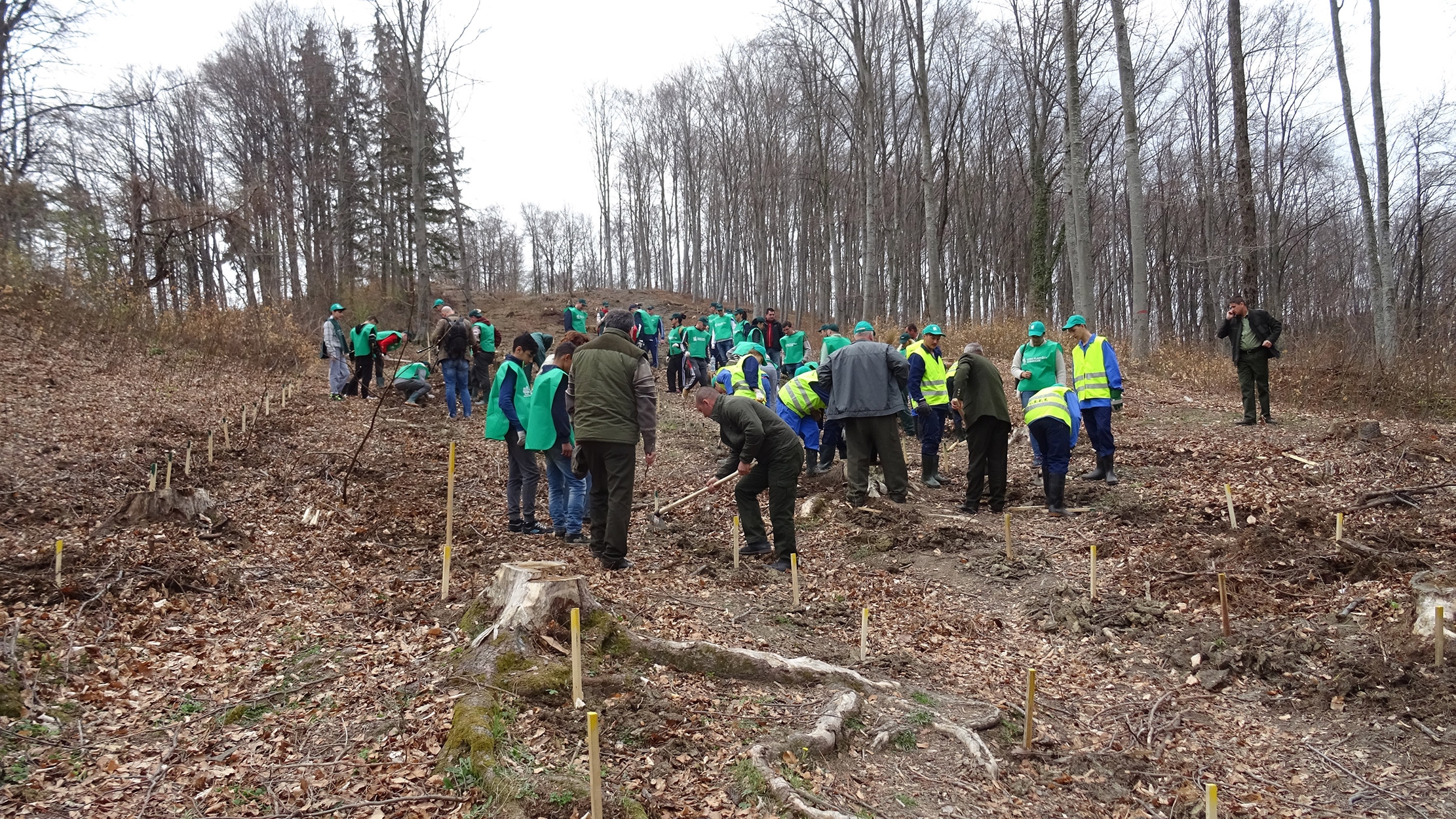 Record la plantat într-o singură zi