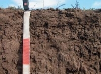 Rezerva de umiditate din solul agricol, apropiată de valorile optime în majoritatea terenurilor agricole