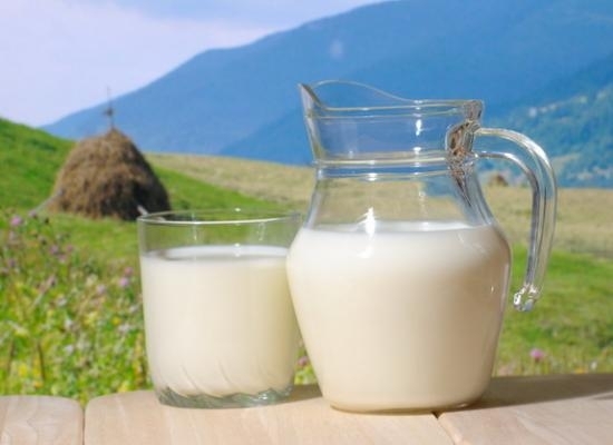 Pansajul creşte cu până la 20% producţia de lapte