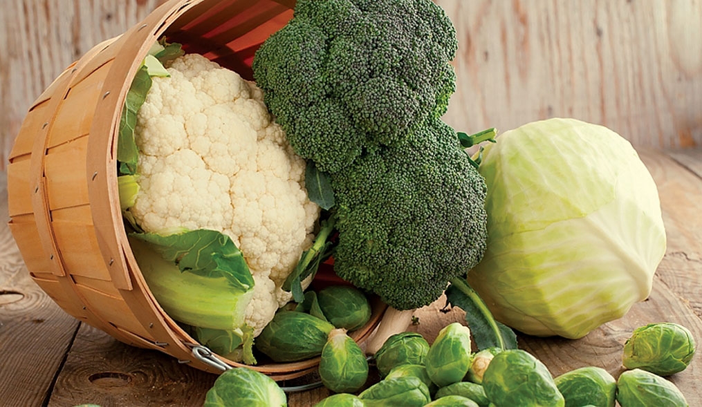 Obţinerea alimentelor funcţionale, o nouă provocare pentru agricultori