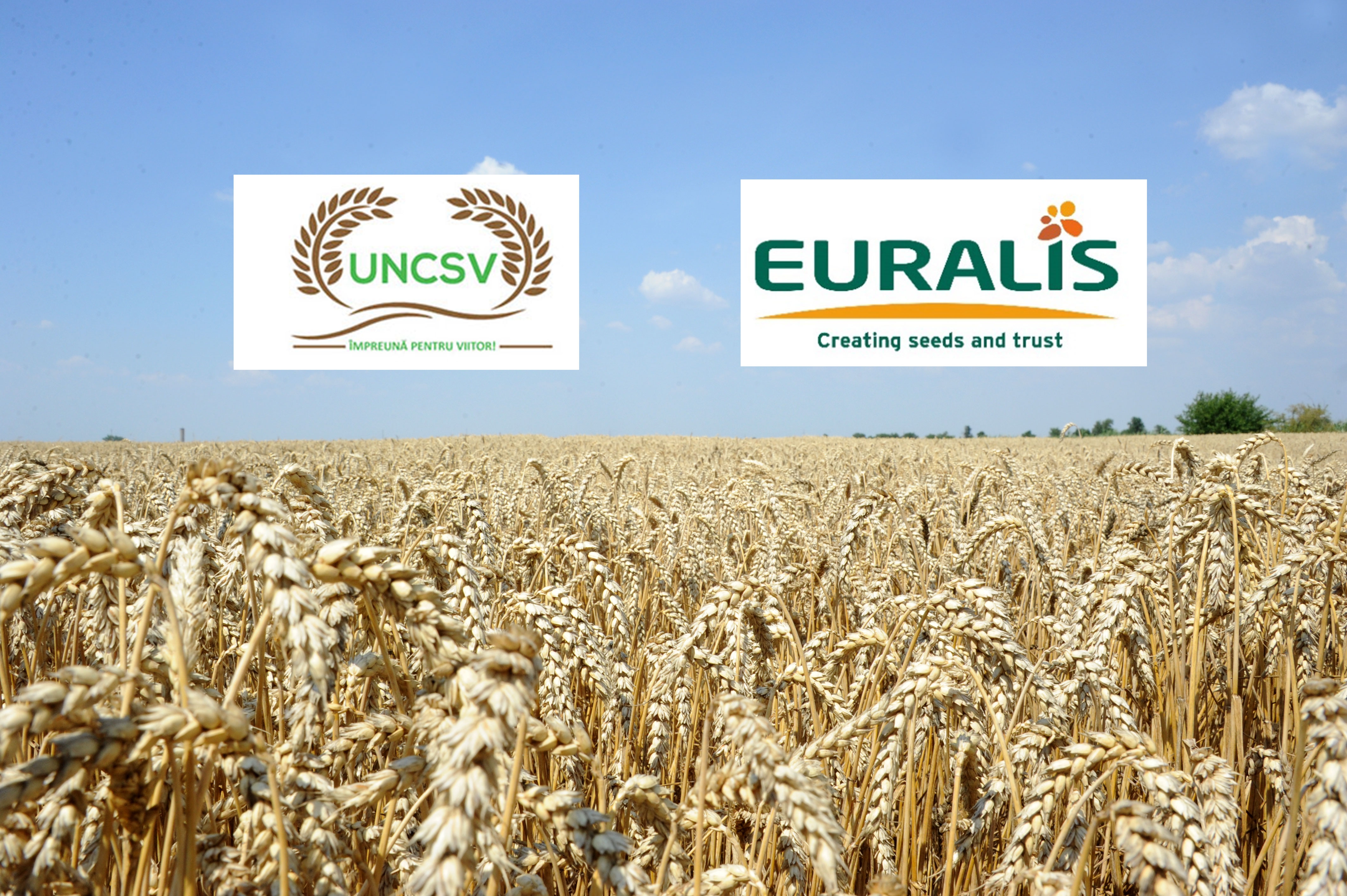 UNCSV: Schimb de experiență la Cooperativa EURALIS