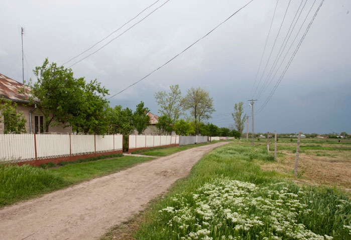 Padina, floare aleasă din Câmpia Buzăului