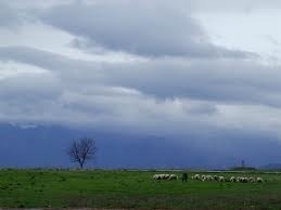 Chiar dacă au decalat lucrările de toamnă, ploile au fost bine-venite