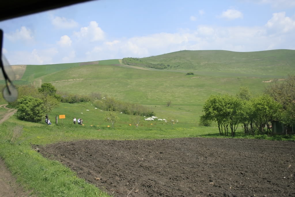 Pajişti temporare semănate în teren arabil