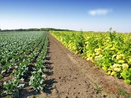 2014 - Cu agricultura la drum drept