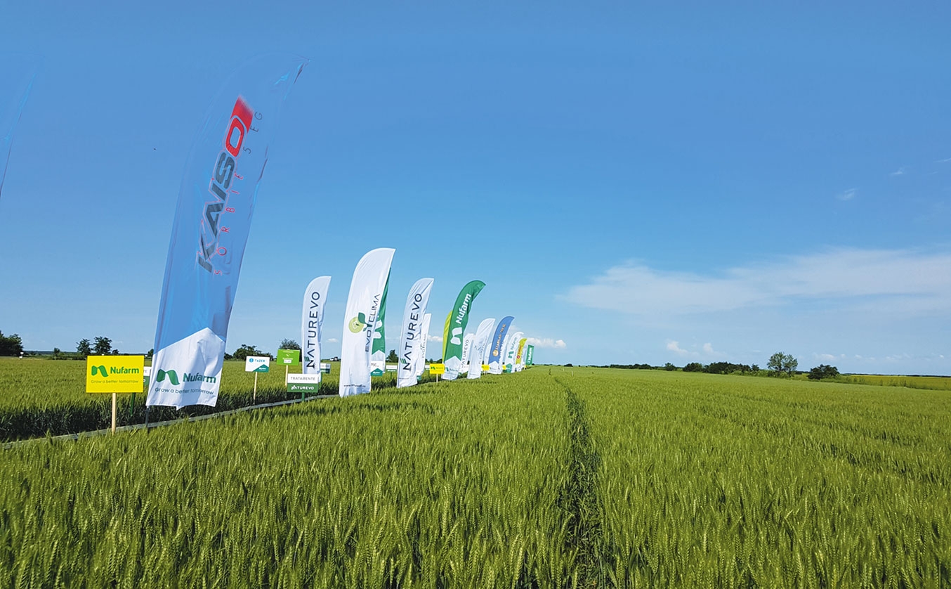 Performanță în cultura de grâu cu produse Naturevo și Nufarm
