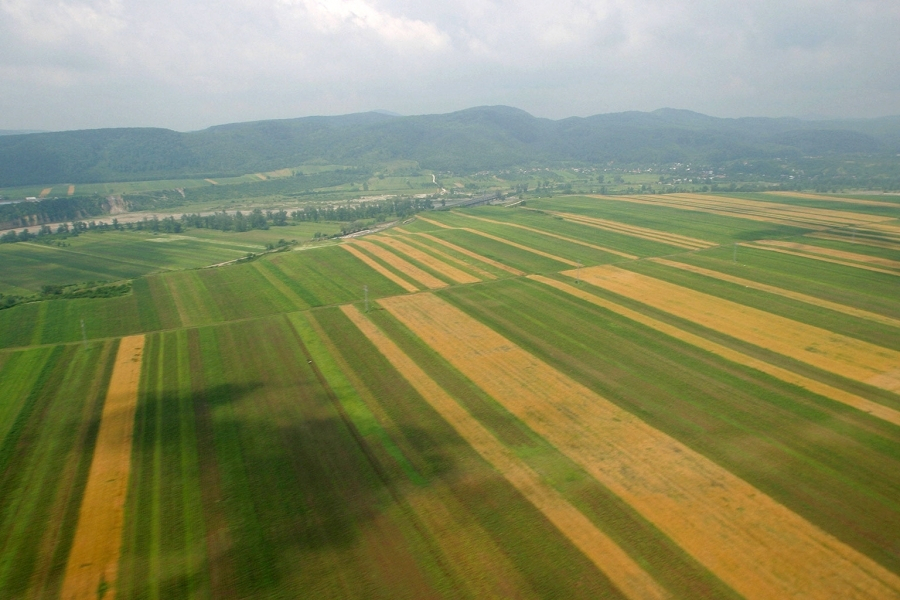 APIA a dat startul plăților în avans pentru Campania 2021