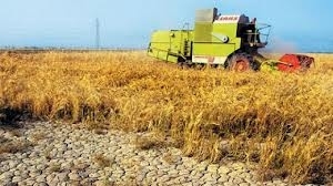 „Ar trebui o şcoală a politicianului“