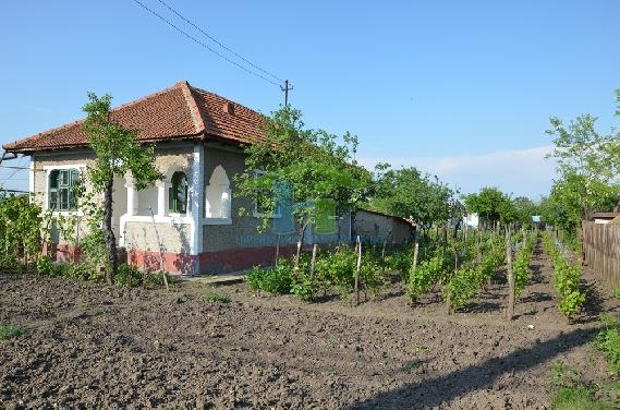 La Tomşani - Prahova, primarul vrea să scoată sărăcia din sat!