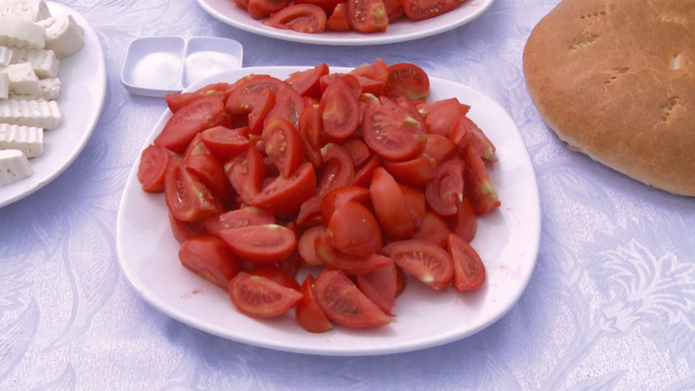 Programul „Tomate Românești“, cum se vede din solar și cum se vede din birou