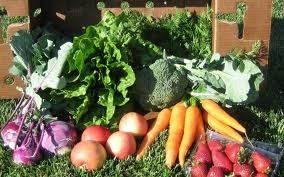 România şi Bulgaria vor avea o bursă de legume comună