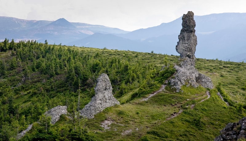 „La poale de Călimani“ - sărbătoarea bujorului de munte