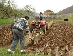 Dezorganizaţi haosul! E singura speranţă!