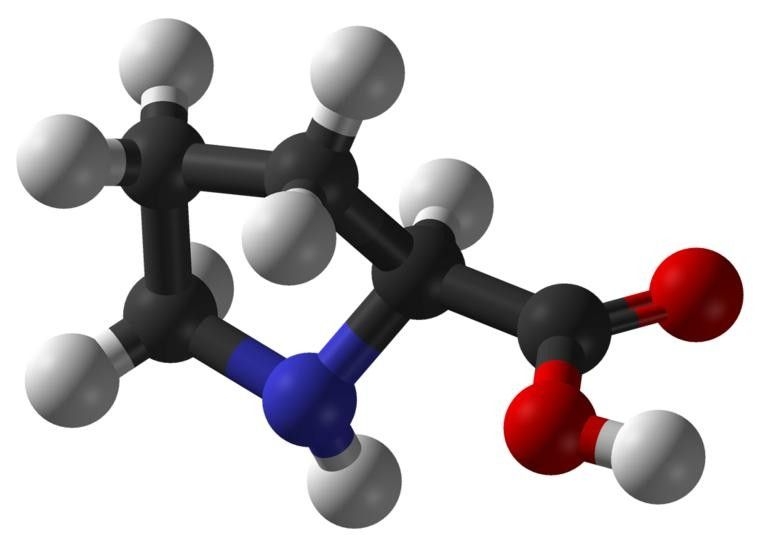 Aminoacizii și bolile cardiovasculare