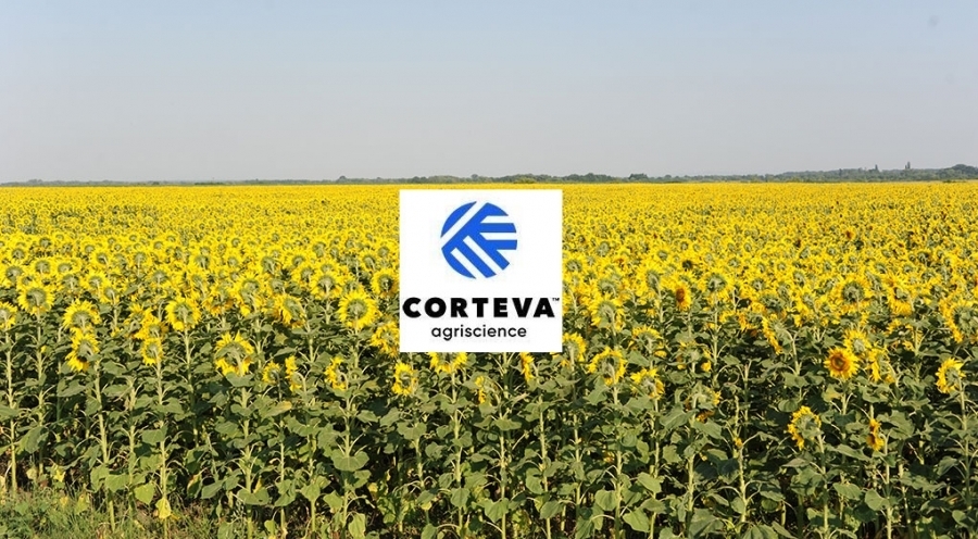 Anunț angajare promotor CORTEVA