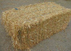 Baloţii de paie, cea mai ieftină soluţie pentru a construi o casă