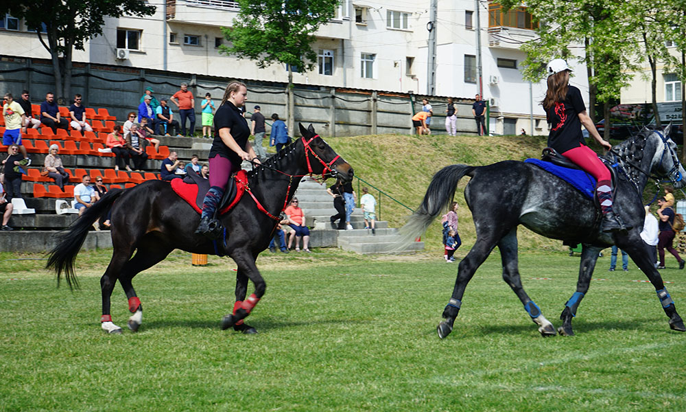Animal Fest by USV Iaşi, la a II-a ediție