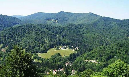„Să nu uităm că lângă noi este natura…“