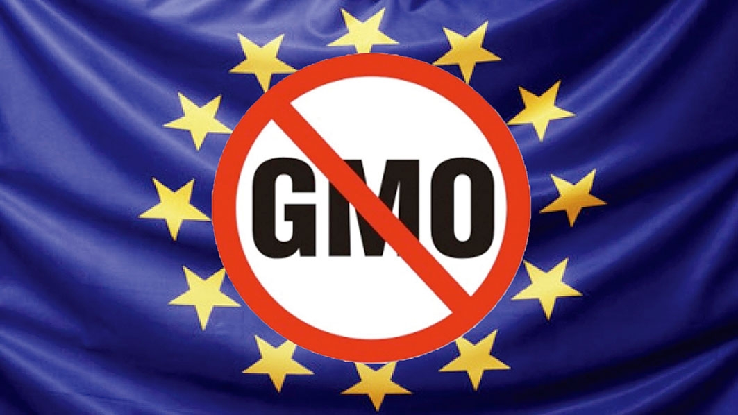 Reintroducerea în cultură a soiei modificate genetic, decizie politică minimal necesară
