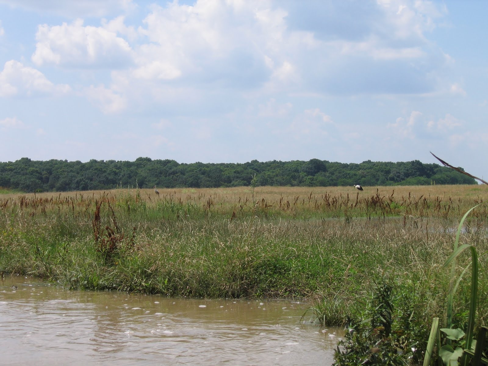 Delta Neajlovului, locul unde se împletesc istoria, natura şi sacralitatea