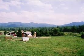 Adevărata istorie a României, prin ochii lui Gheorghe Sărac