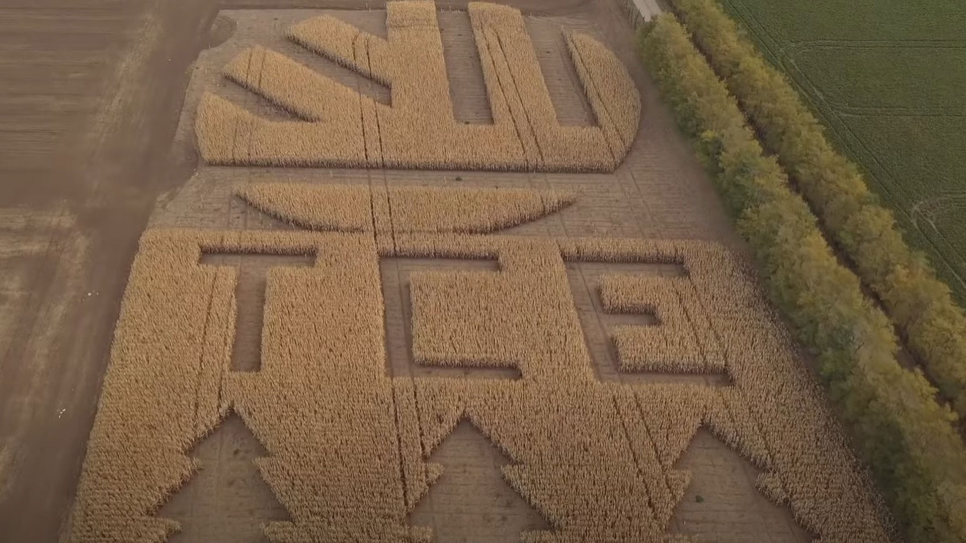 TCE 3 Brazi - Rezultate spectaculoase cu produse Corteva Agriscience