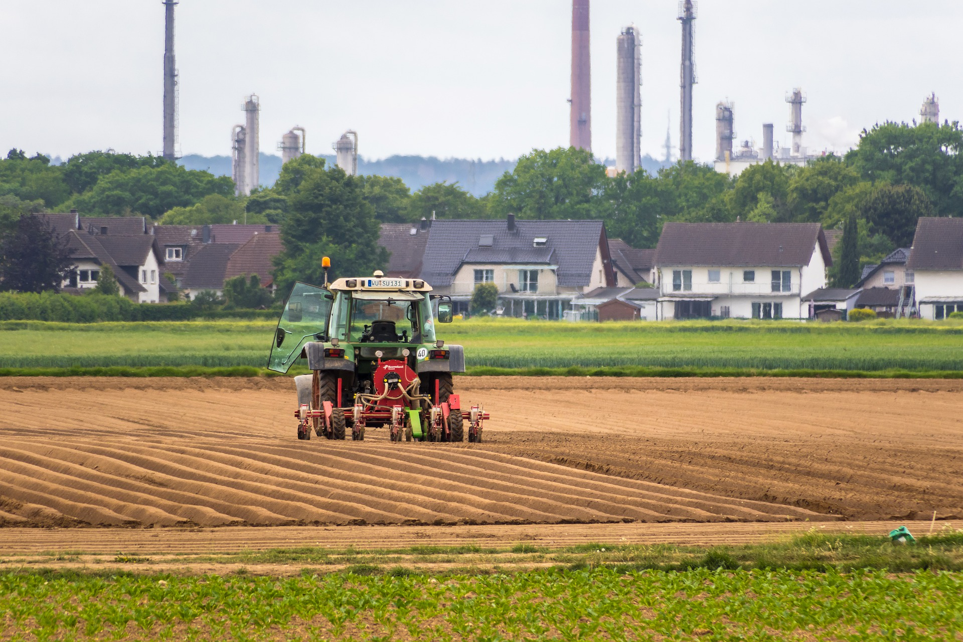 Până în 2050 agricultura trebuie să ofere cu 70% mai multă hrană
