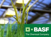 Lot demonstrativ BASF pentru testarea produselor