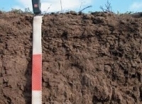 Rezerva de umiditate din solul agricol, apropiată de valorile optime în majoritatea zonelor agricole
