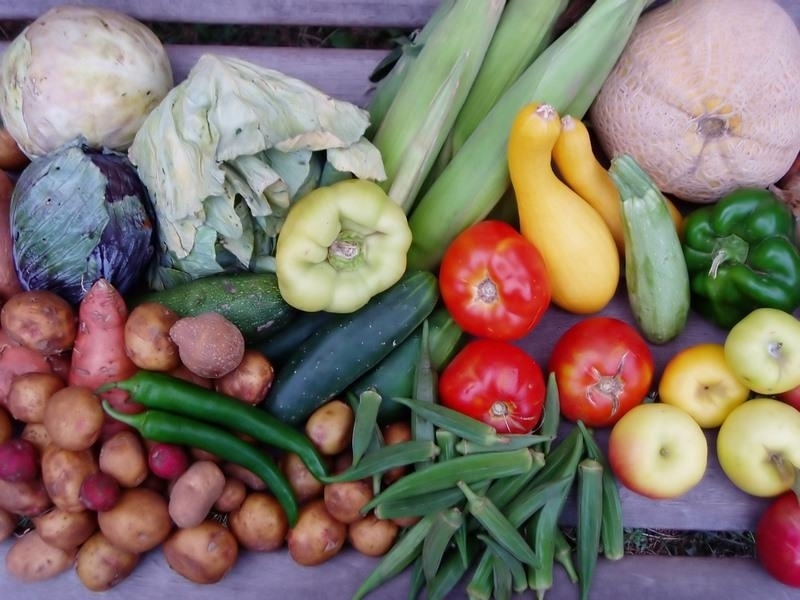 Deficitul balanţei comerciale cu produse agroalimentare, de aproape două ori mai mare în 2012