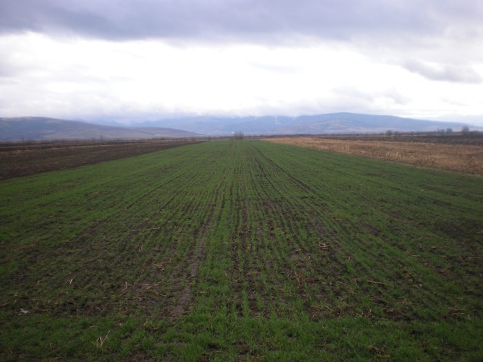 Micii producători încep să se adune, şi-au făcut confederaţie
