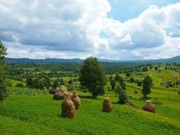 Agricultura montană şi produsul montan agroalimentar