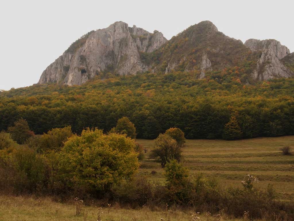 Inima verde din munţii Trascău