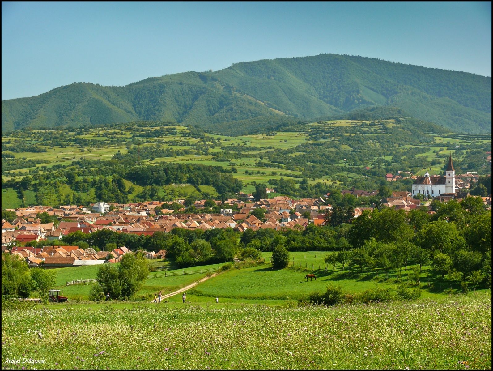 Poveşti din bătrâni cu arome de mere şi pere